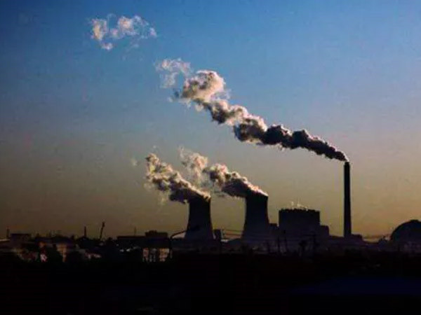 浪花朵朵別樣風 泳池競逐露崢嶸----中集凌宇開展第三屆職工游泳比賽