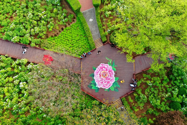 豫見高端，洛賞牡丹，錯過等一年