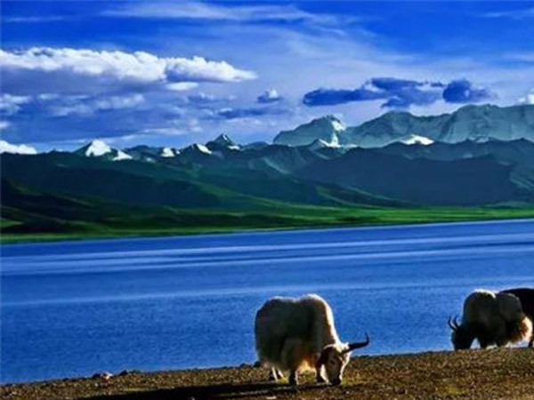 公司成功舉辦“慶元旦、迎新春”長跑比賽